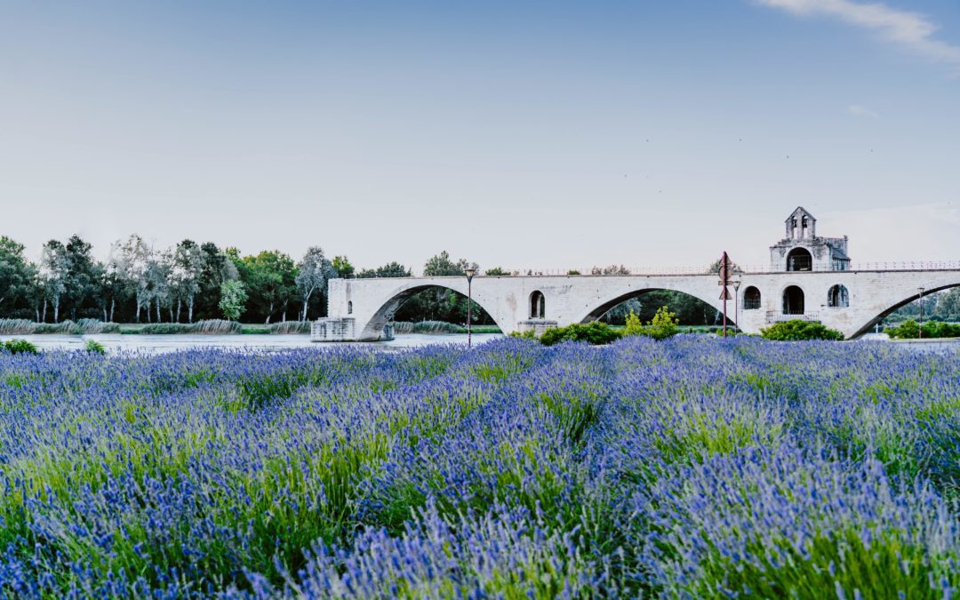 Cabinet de conseil en gestion de patrimoine à Avignon